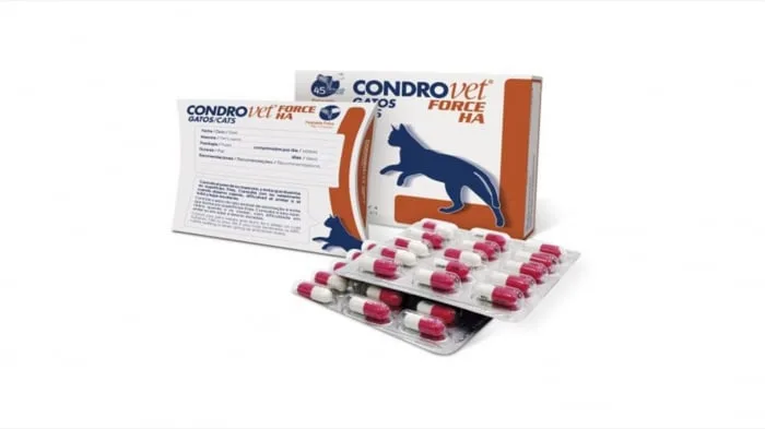 Condrovet Force HA pisica — Recenzie și preț pentru supliment articulatii Bioiberica
