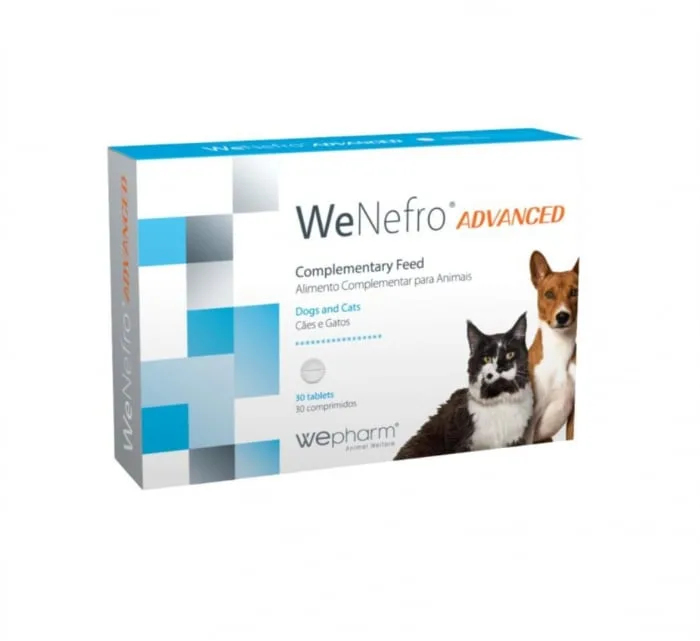 WeNefro Advanced — Recenzie despre avantajele suplimentului pentru funcția renală la pisici și câini