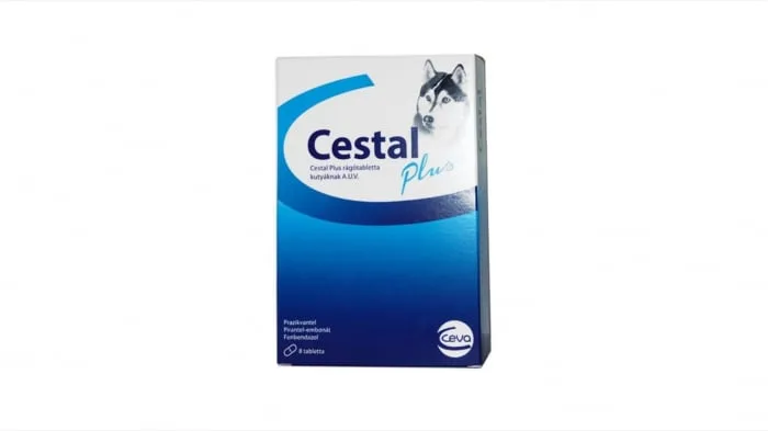 Cestal Plus pentru câini — Recenzie completă și verdict privind antiparazitarul intern