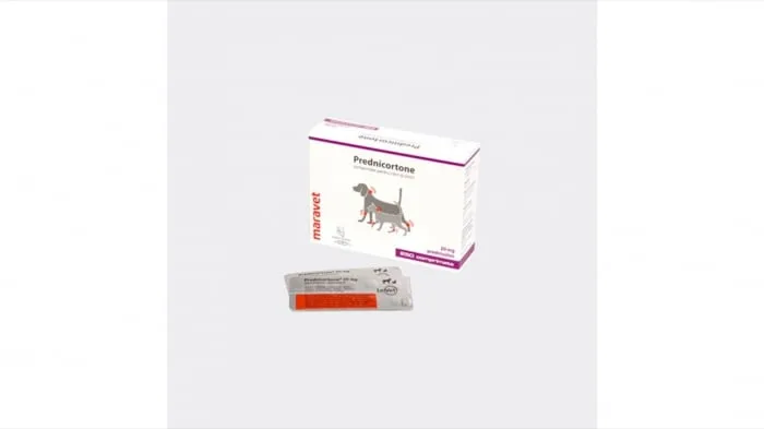Prednicortone 20 mg LeVet — Recenzie completă și verdict despre tratamentul pentru pisici
