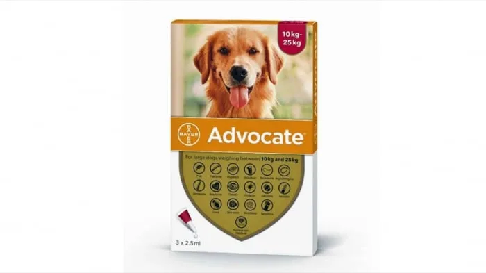 Advocate 250 Caine — Recenzie despre eficiența și avantajele pipetelor Bayer pentru câini 10-25 kg
