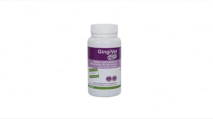Gingivet Stangest — Recenzie despre beneficiile pentru sănătatea gingiilor și prețul actual