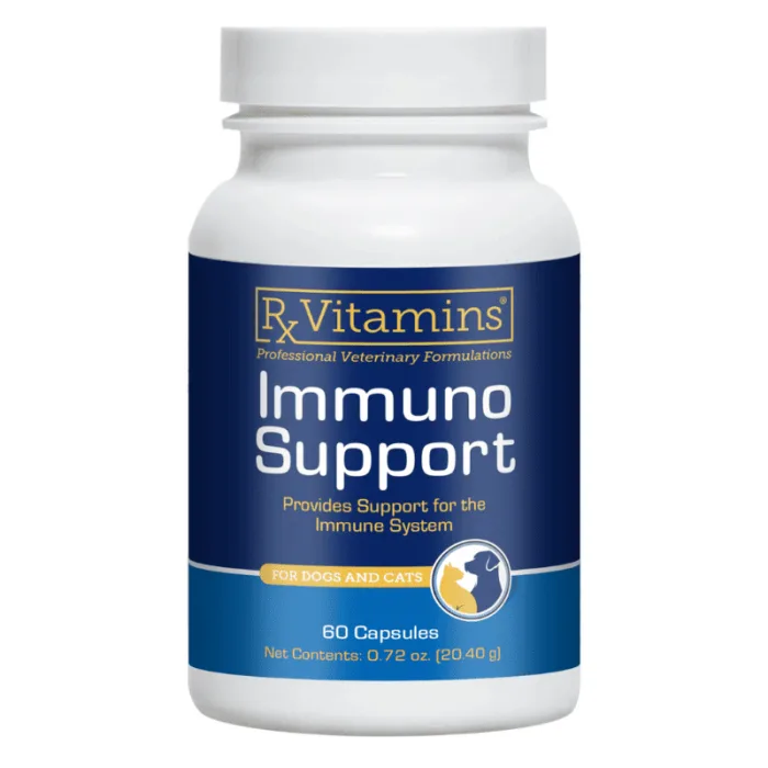 RX Immuno Support 60 capsule — Recenzie despre beneficii, preț și recomandări