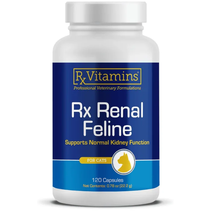Valoare titlu RX Renal Pisica — Recenzie, preț și caracteristici