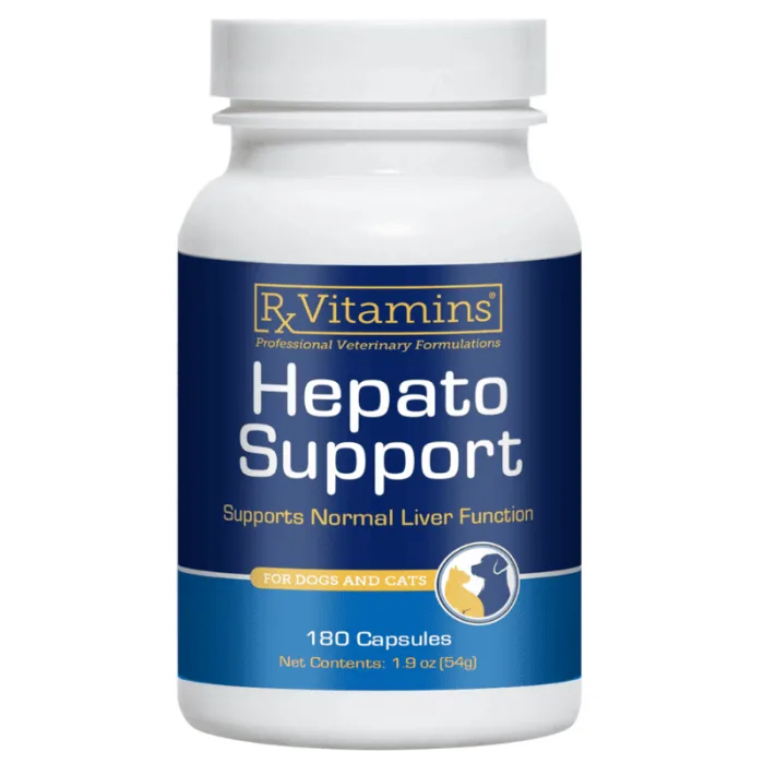RX Hepato Support 180 capsule — Recenzie completă și verdict despre beneficiile pentru ficat