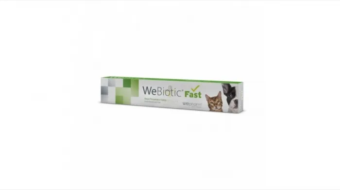 WeBiotic Fast — Recenzie despre performanță și beneficii pentru pisici