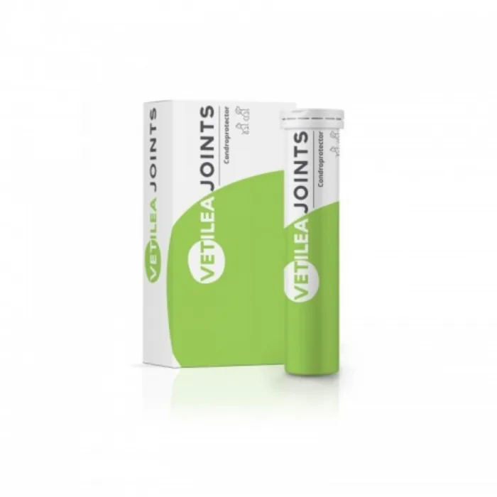 Vetilea Joints — Recenzie despre beneficiile pentru articulatii canine si feline