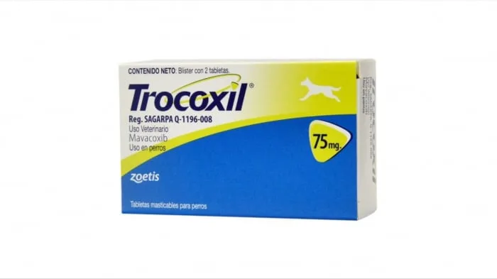 Trocoxil 75 mg — Review despre preț, caracteristici și verdict pentru câini