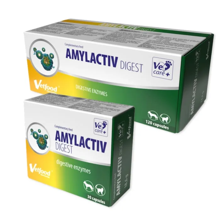 Amylactiv Digest Vet Food — Recenzie despre beneficii și preț