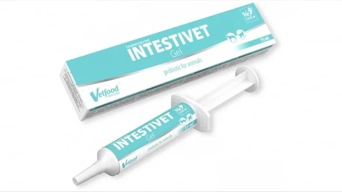 Intestivet Gel Vet Food — Recenzie și caracteristici pentru sănătatea pisicii tale