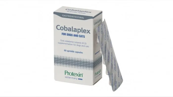 Protexin Cobalaplex pentru caini si pisici — Recenzie despre beneficii si preț