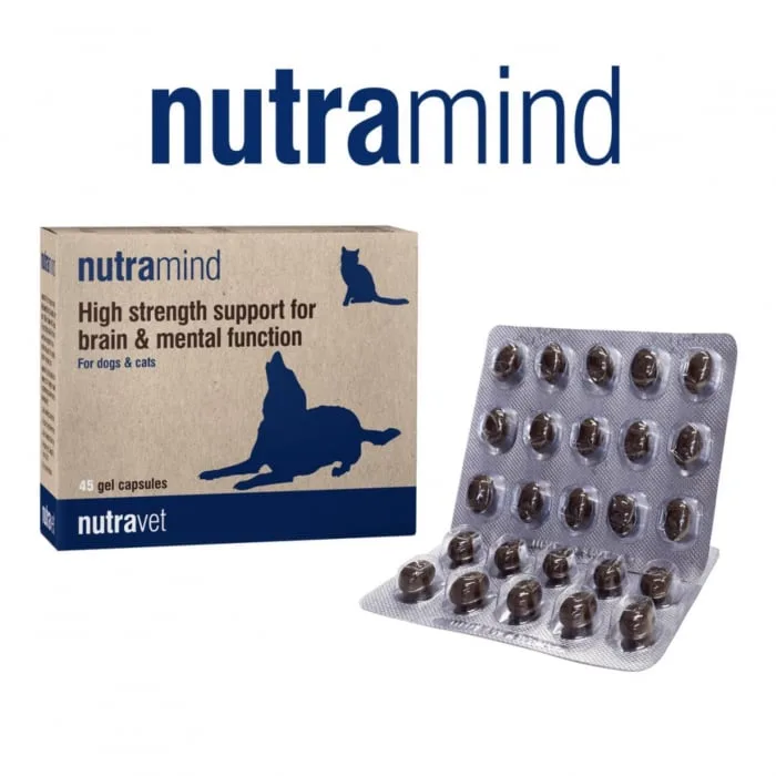 Nutravet Nutramind Caini Pisici — Review, beneficii și preț