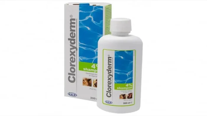 Valoare titlu ICF Clorexyderm șampon 4% — Caracteristici, preț & verdict