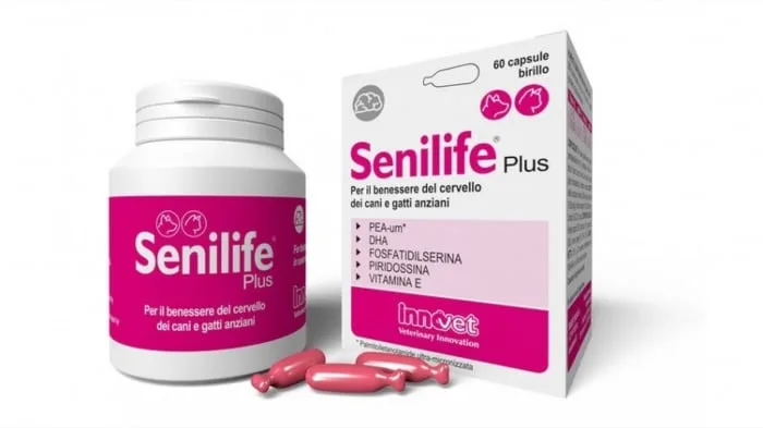 Senilife Plus Innovet — Recenzie despre beneficiile pentru creierul câinilor și pisicilor în vârstă