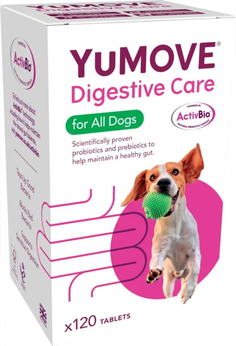 YuMOVE Digestive Care pentru câini — Recenzie și preț, beneficii pentru digestie sănătoasă