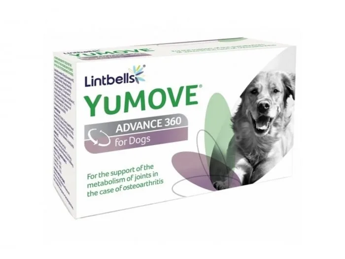 Valoare supliment nutritiv pentru câini YuMOVE Advance — Recenzie, preț și caracteristici