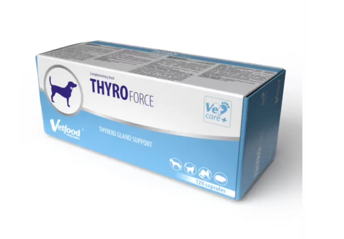 VetFood ThyroForce — Recenzie despre avantajele și specificațiile produsului