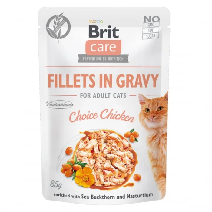 Brit Care Cat Fillets in Gravy — Recenzie și preț pentru hrana umedă pentru pisici