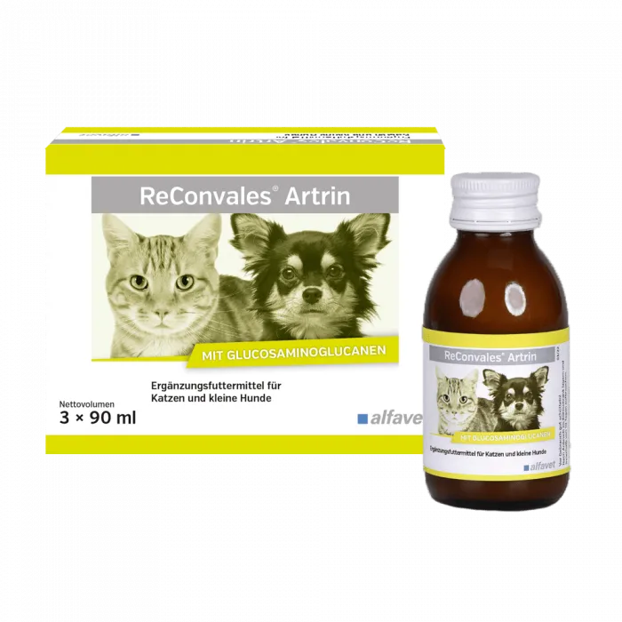 ReConvales Artrin Alfavet — Recenzie despre beneficiile pentru articulații ale suplimentului pentru câini