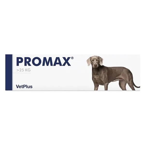Promax Large Breed — Recenzie, beneficii și preț pentru supliment digestiv câini peste 25 kg
