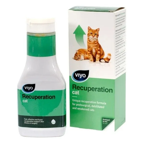 Valoare titlu Viyo Recuperation Cat — Recenzie, preț și caracteristici