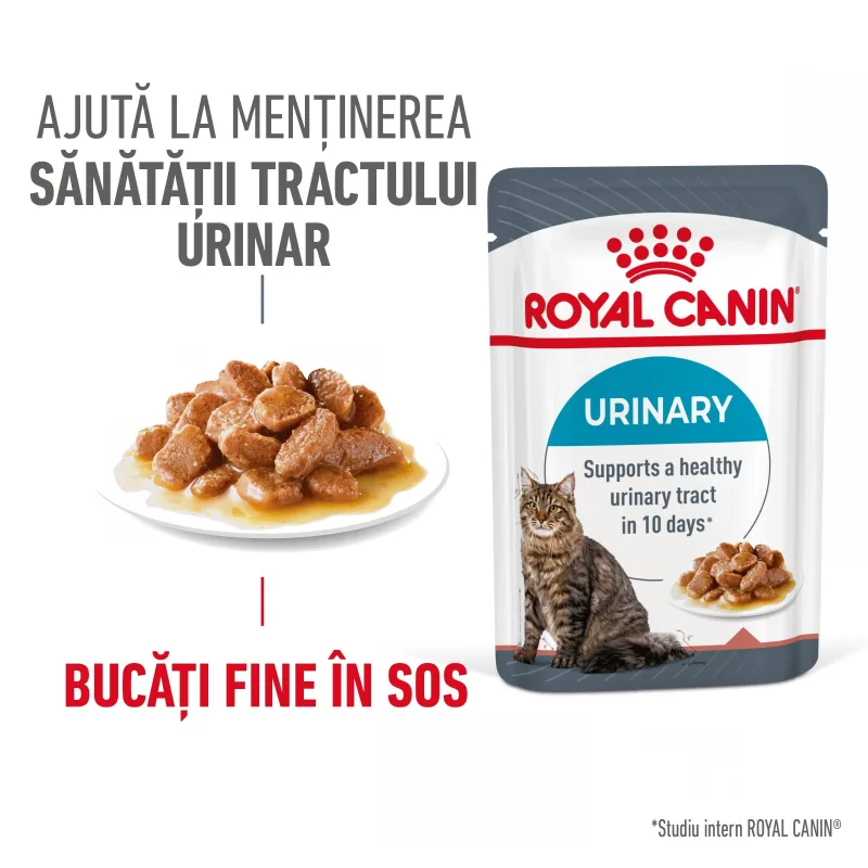 Royal Canin Urinary Care Adult hrana umedă pisică — Recenzie și specificații pentru sănătatea tractului urinar