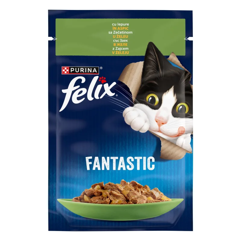 Felix Fantastic, iepure — Recenzie despre calitate și preț pentru hrană umedă pisici