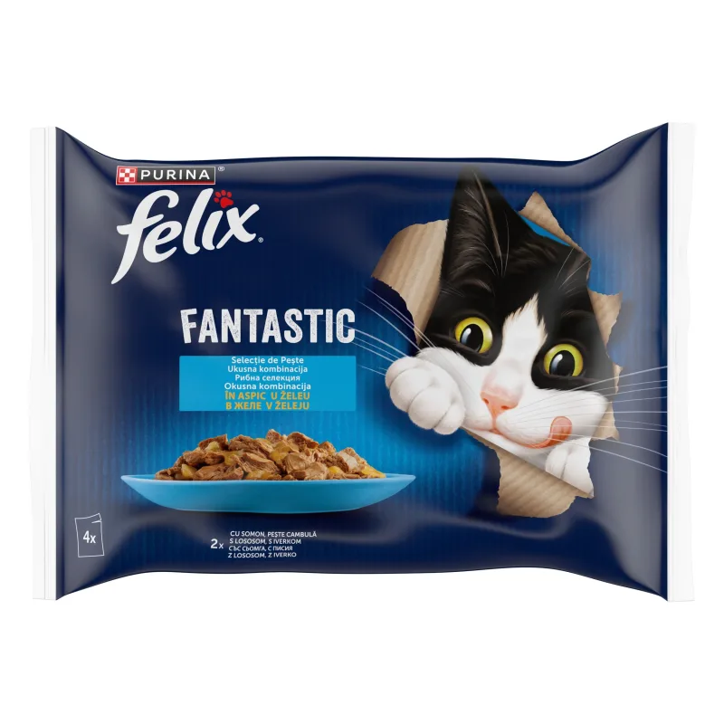 Felix Fantastic Multipack — Recenzie despre calitatea și avantajele hranei umede pentru pisici