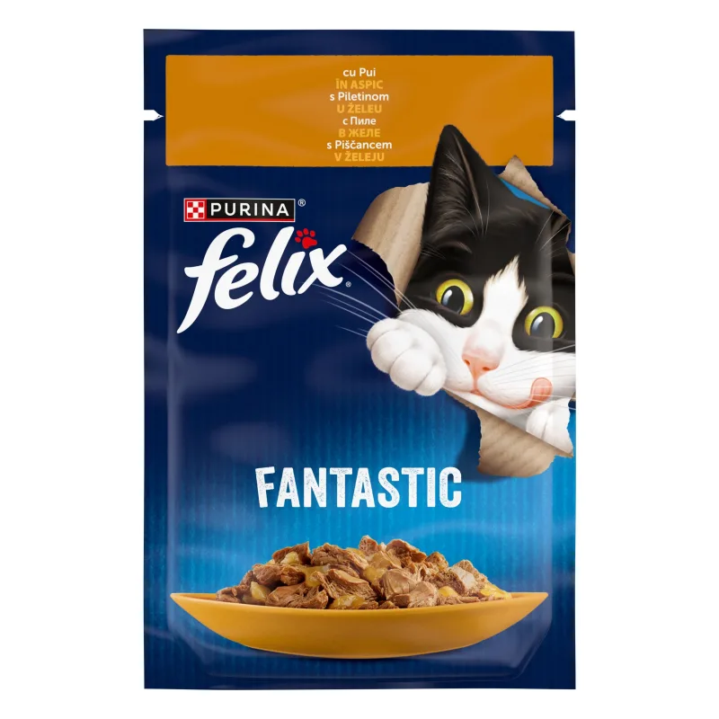Felix Fantastic Pui — Review preț și caracteristici pentru hrană umedă pisici