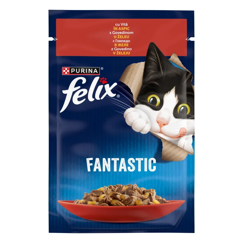 Felix Fantastic, Vita — Recenzie despre calitate, preț și avantajele hranei umede pentru pisici