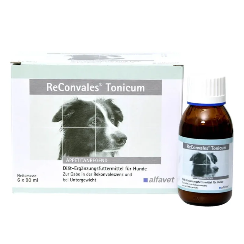 Recomandat Reconvales Tonic Caini Alfavet — Păreri, preț și beneficii pentru convalescență