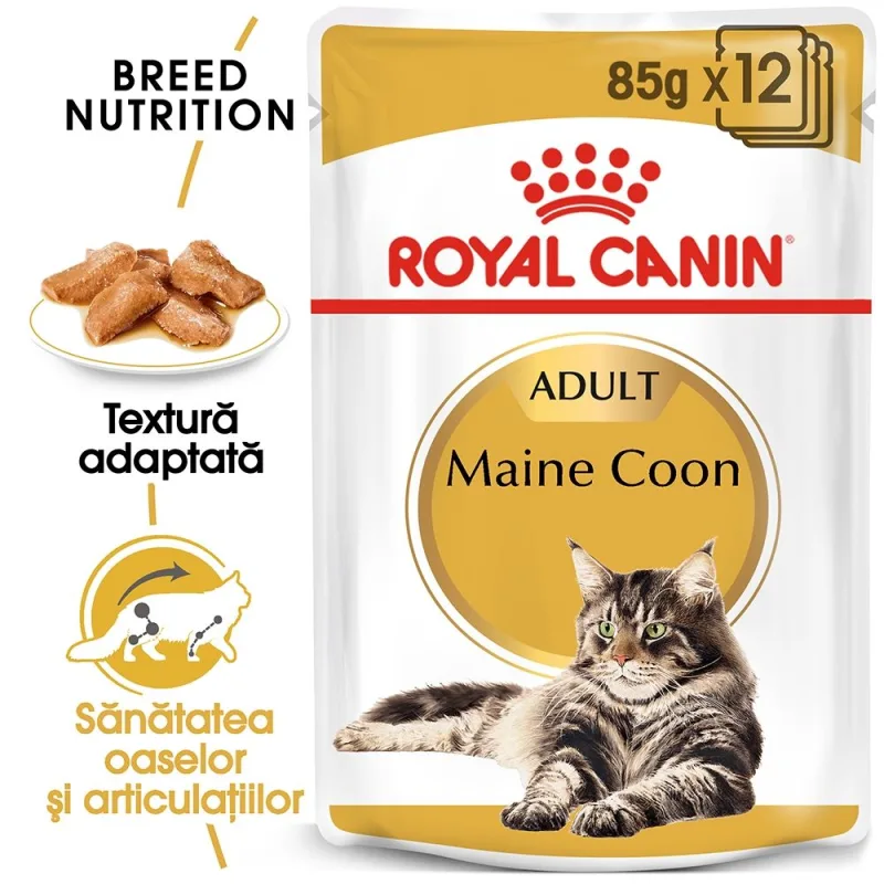 Hrana umedă Royal Canin Maine Coon Adult în sos — Caracteristici, preț și verdict