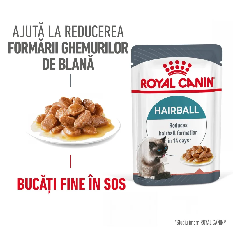 Hrana umedă Royal Canin Hairball Care Adult — Recenzie, beneficii și preț actualizat