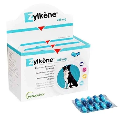 Zylkene 225 mg — Recenzie despre beneficiile pentru câini și pisici
