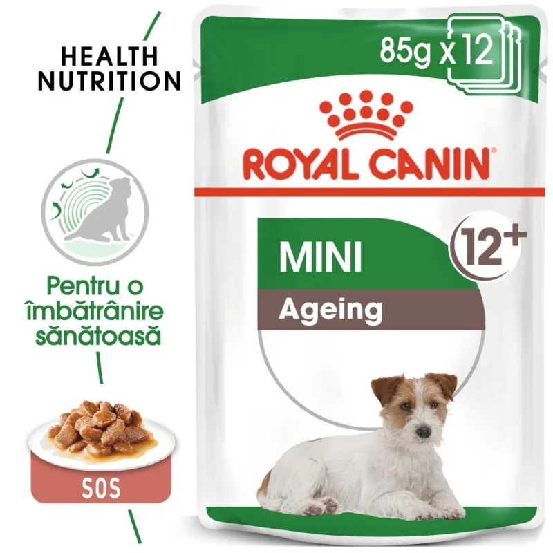 Hrana umedă Royal Canin Mini Ageing 12+ — Recenzie, beneficii pentru câini seniori mici