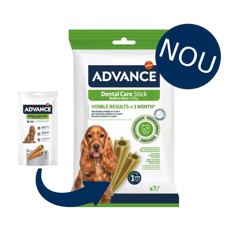 Advance Dog Dental Stick Medium/ Maxi — Recenzie, specificații și avantaje pentru sănătatea dentară a câinelui