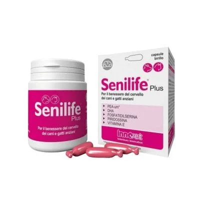 Senilife Plus — Recenzie despre beneficii pentru sănătatea creierului câinilor și pisicilor în vârstă