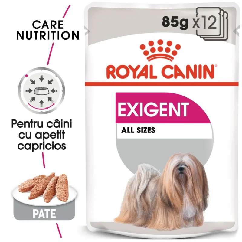 Recomandat Royal Canin Exigent Adult — Caracteristici, preț și verdict pentru câini capricioși