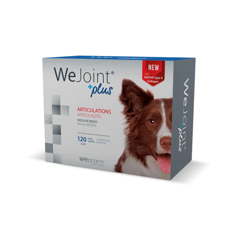 WeJoint Plus Medium Breeds — recenzie și avantaje pentru sănătatea articulațiilor câinilor