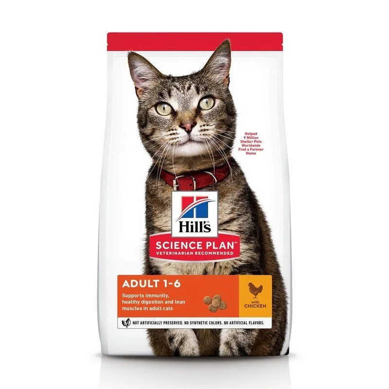 Recomandat Hrana uscată Hill's Science Plan Feline Adult Chicken — Caracteristici, preț și verdict