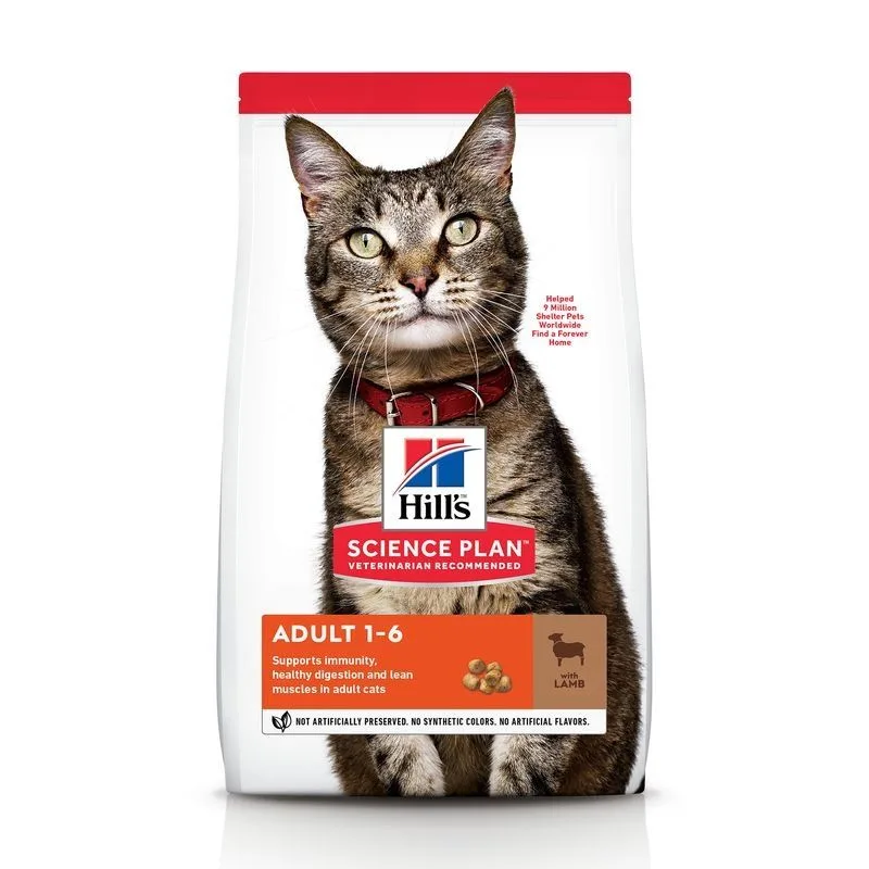 Recomandări hrana uscată pentru pisici Hill's Science Plan Feline Adult Lamb and Rice — Caracteristici, preț și verdict