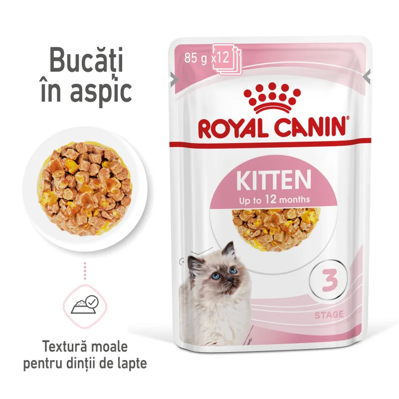 Royal Canin Kitten — Recenzie caracteristici și preț pentru hrană umedă pisici