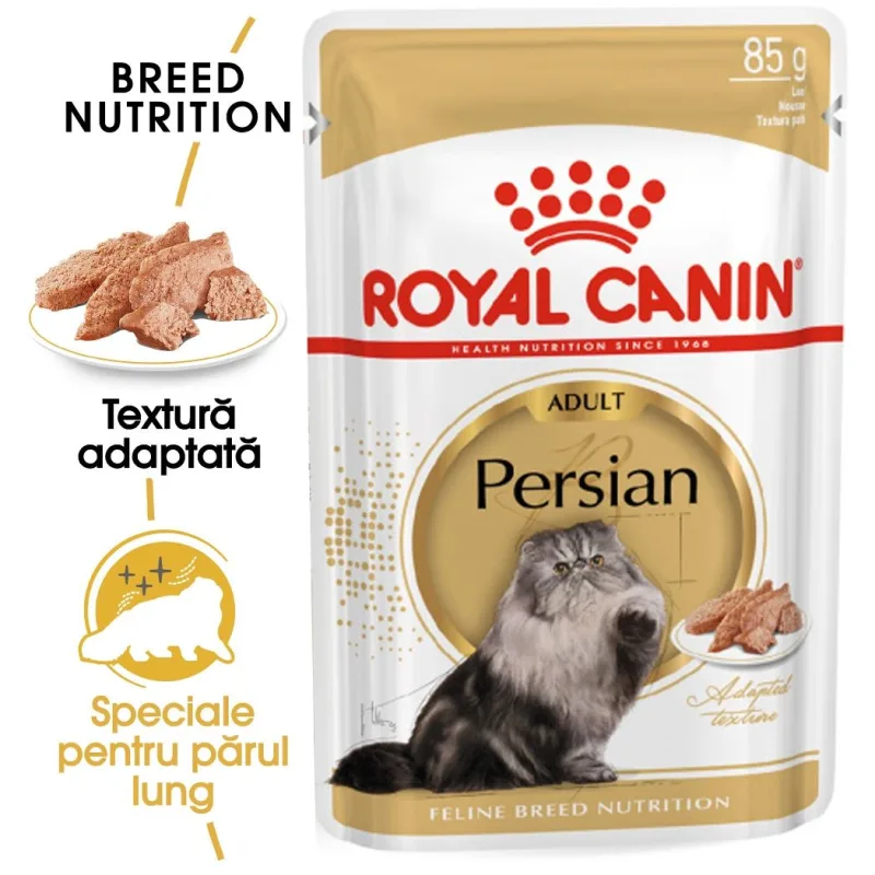 Royal Canin Persian Adult — Recenzie și specificații, hrană umedă pentru pisici