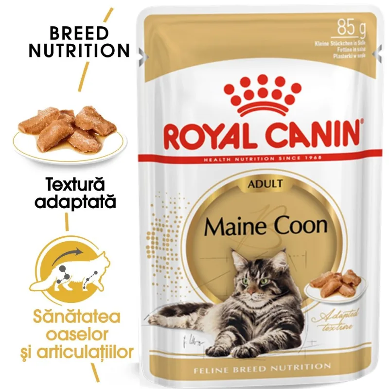 Hrana umedă Royal Canin Maine Coon Adult în sos — Caracteristici, preț și verdict