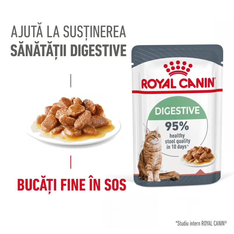 Hrana umedă Royal Canin Digest Sensitive Care Adult — Recenzie și caracteristici pentru sănătatea digestivă a pisicii