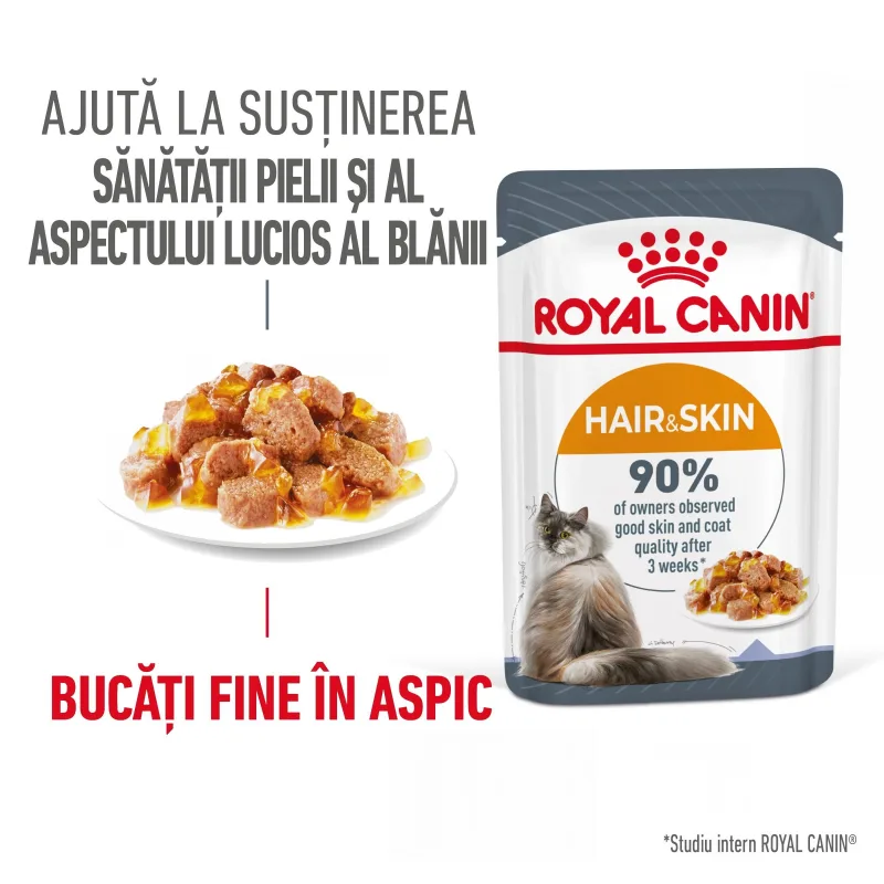 Royal Canin Hair&Skin Care Adult — Recenzie și avantaje pentru sănătatea pielii și blănii