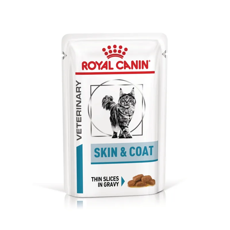 Royal Canin Skin & Coat — Recenzie despre beneficiile pentru sănătatea dermatologică a pisicii