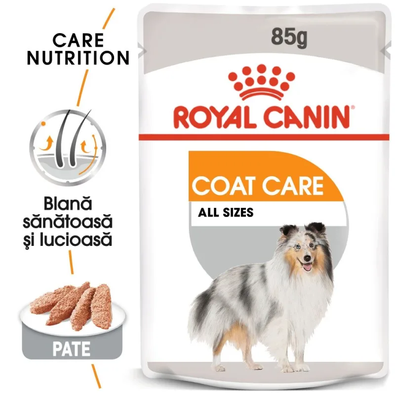 Royal Canin Coat Care Adult — Recenzie, beneficii pentru blană sănătoasă și lucioasă