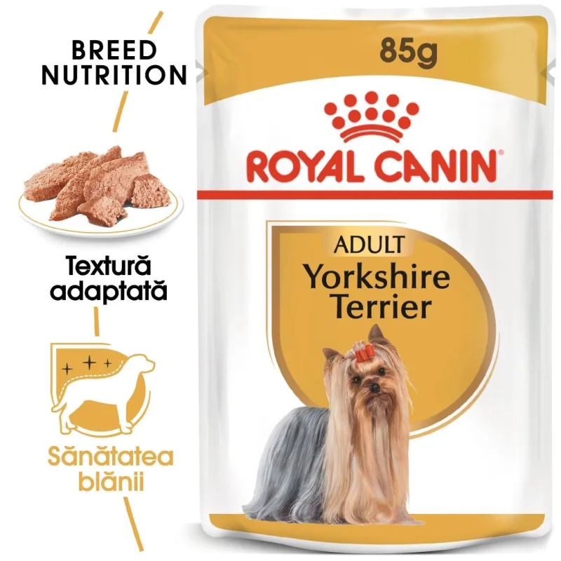 Hrana umedă Royal Canin Yorkshire Terrier Adult — Caracteristici, preț și verdict