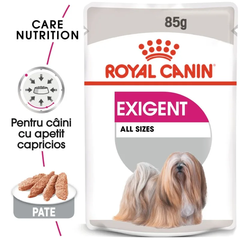Recomandat Royal Canin Exigent Adult — caracteristici, preț și opinii despre hrana umedă pentru câini capricioși